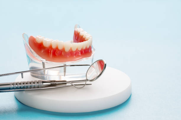 Reliable Fobes Hill, WA  Holistic Dental Services Solutions