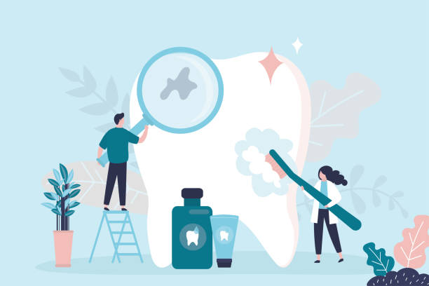 Best Dental Fillings (Composite and Amalgam)  in Fobes Hill, WA